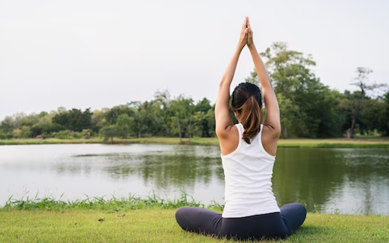 A Holistic Approach Integrating CoQ10 Ubiquinol into Daily Wellness