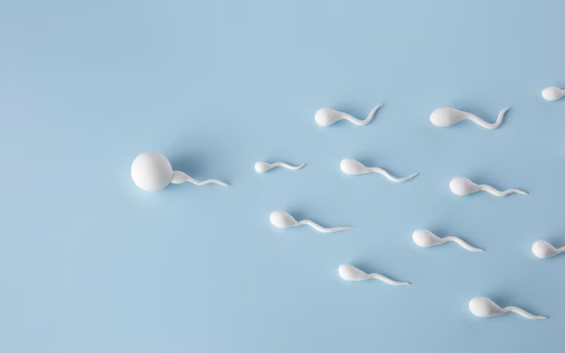 Best Time to Take CoQ10 for Fertility A Special Focus