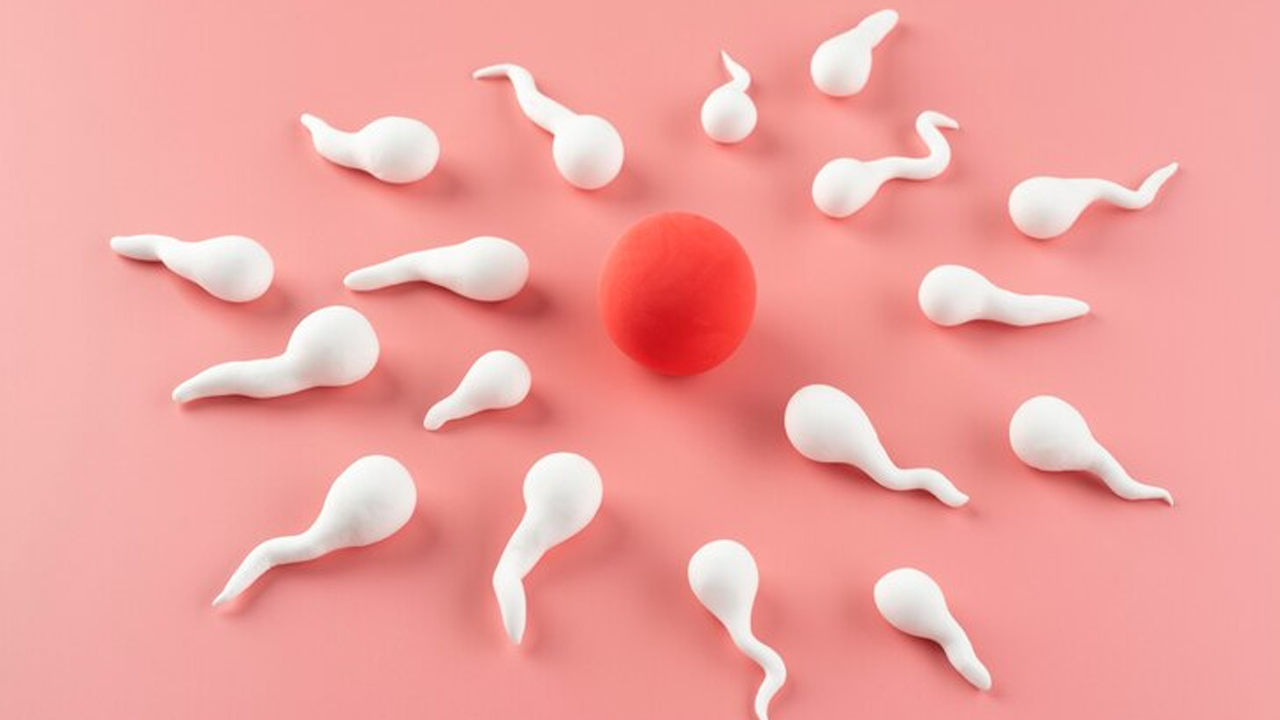 Best Time to Take CoQ10 for Fertility: Unlocking the Secrets