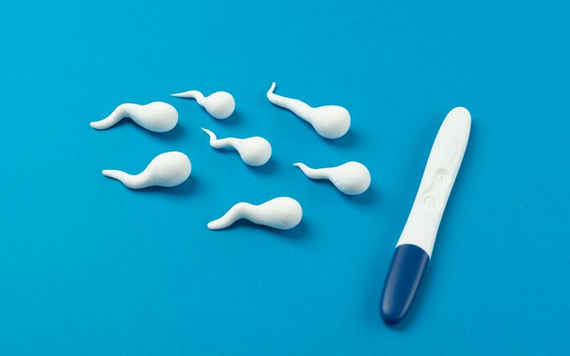 CoQ10 Ubiquinol A Key to Improved Fertility