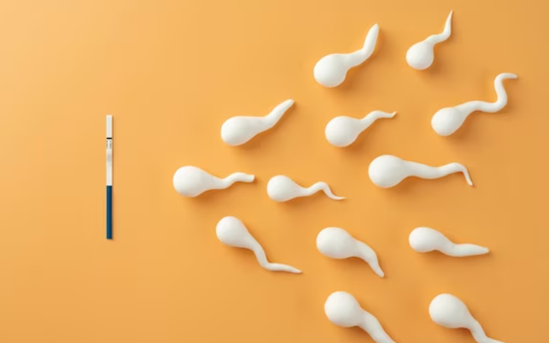 CoQ10 for Fertility When's the Right Time