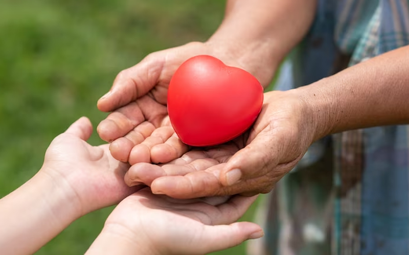 Coenzyme Q10 How It Works for Your Health