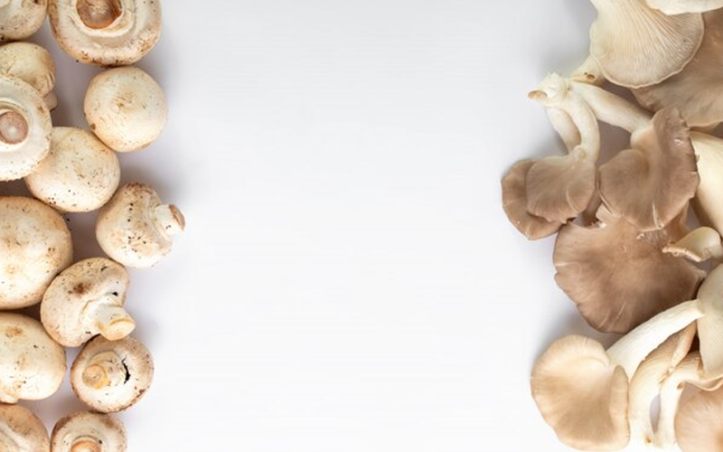 Mushrooms