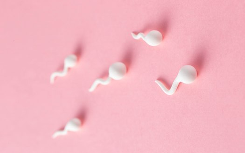 The Science Behind CoQ10 and Fertility