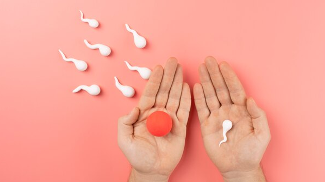 Unlocking Vitality: Best CoQ10 for Male Fertility
