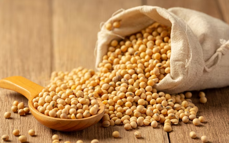 soybeans