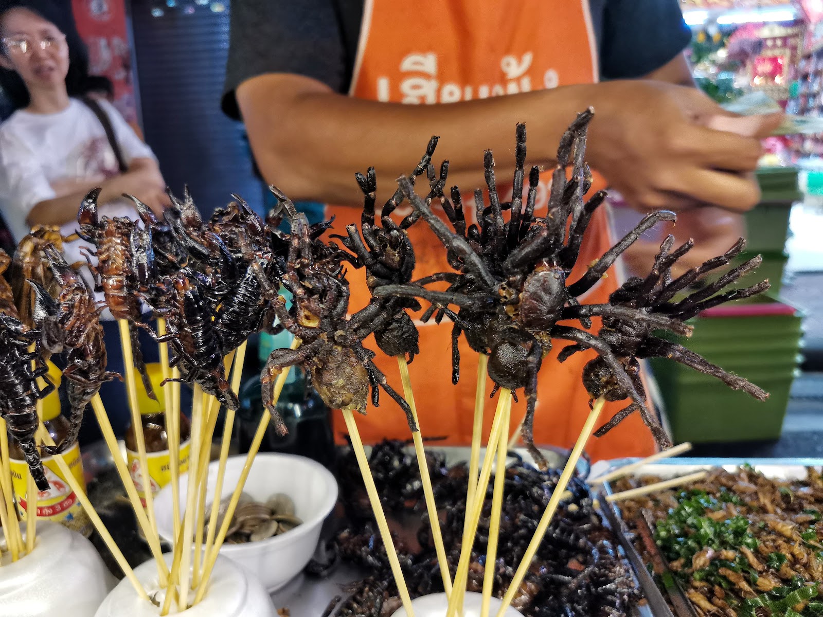 Fried scorpions and tarantulas on bamboo skewers at a street cart