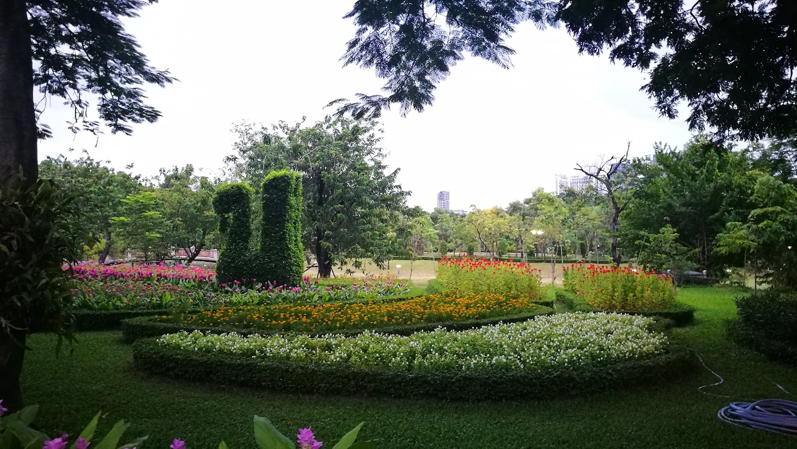 Flower beds and topiary in front of a lake at Queen Sirikit Park