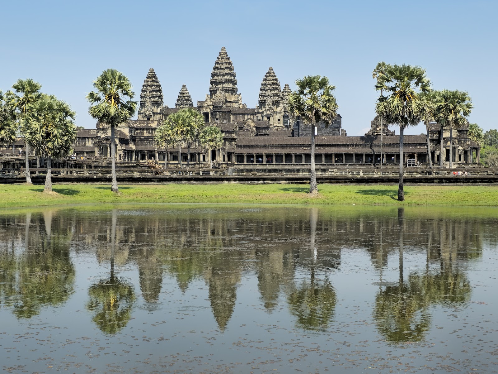 The towers of Angkor Wat reflected in the pond in front of the temple, framed by palm trees