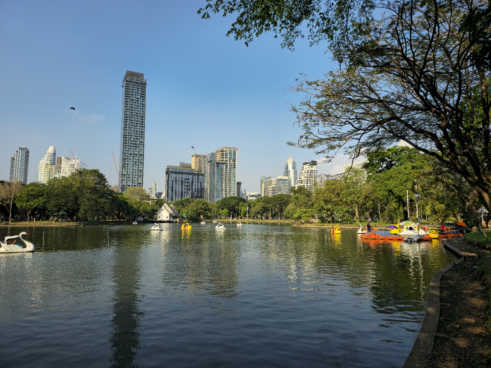 Swan paddle boats on the lake in Lumphini Park with the King Power Mahanakhon tower and the Silom skyline behind the trees
