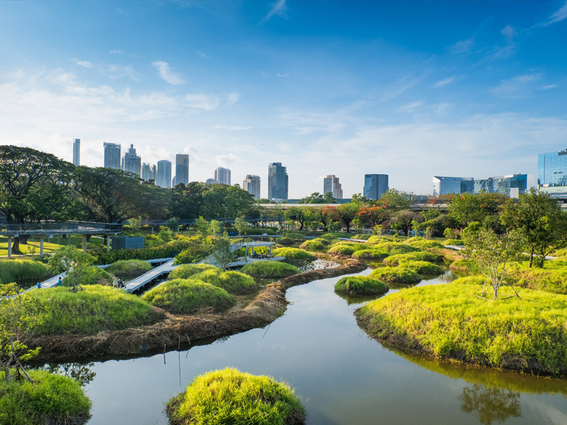 Terraced wetland beds and water channels in Chulalongkorn University Centenary Park