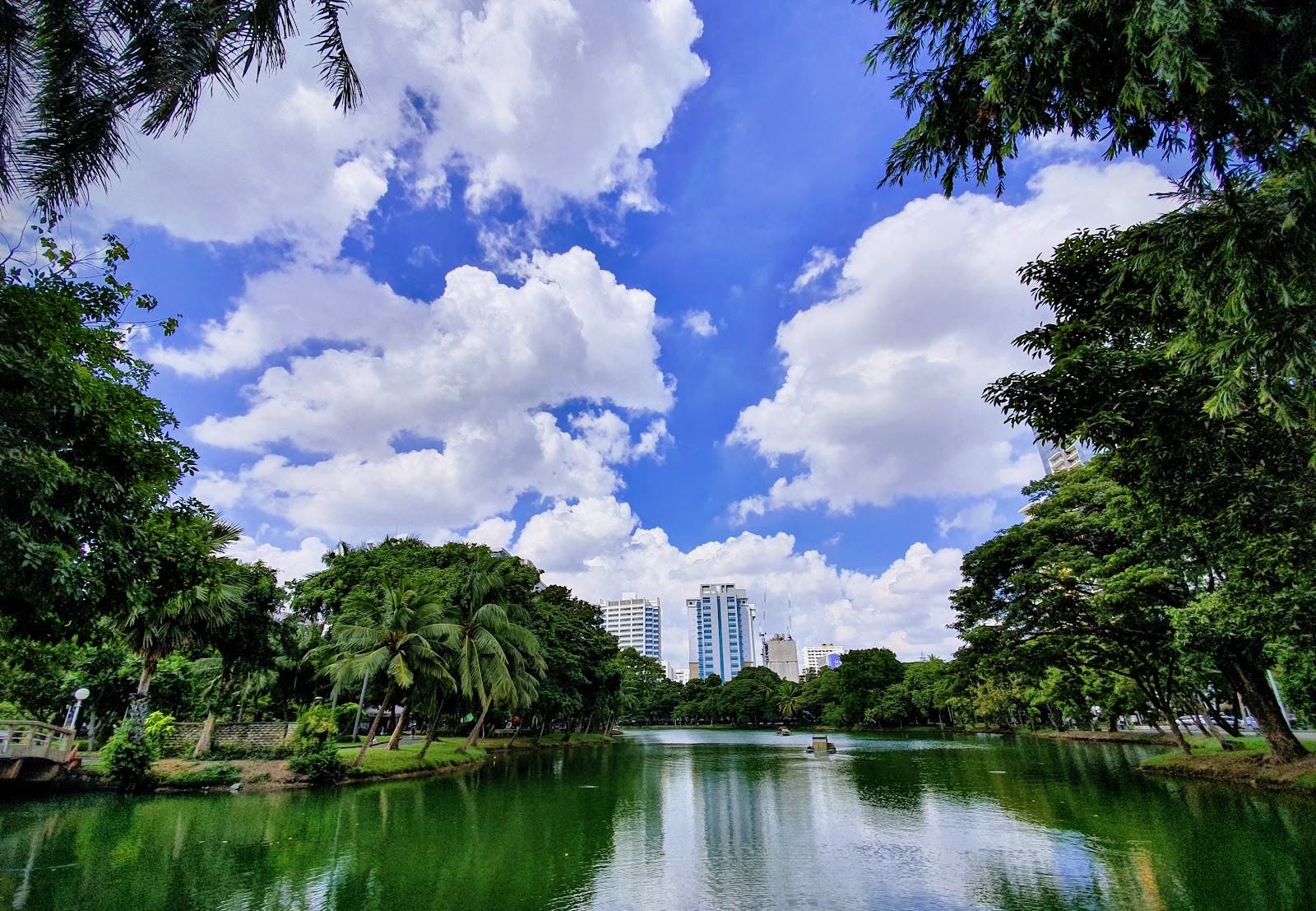 The lake and trees of Lumphini Park under a blue sky with city towers behind
