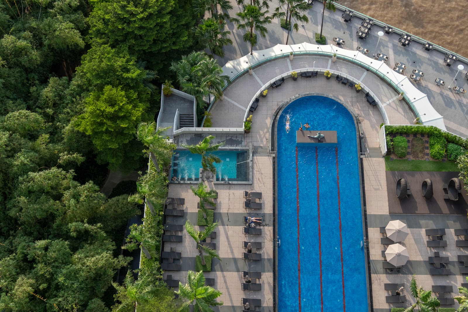 Aerial view of a long blue pool with a curved end, loungers and trees