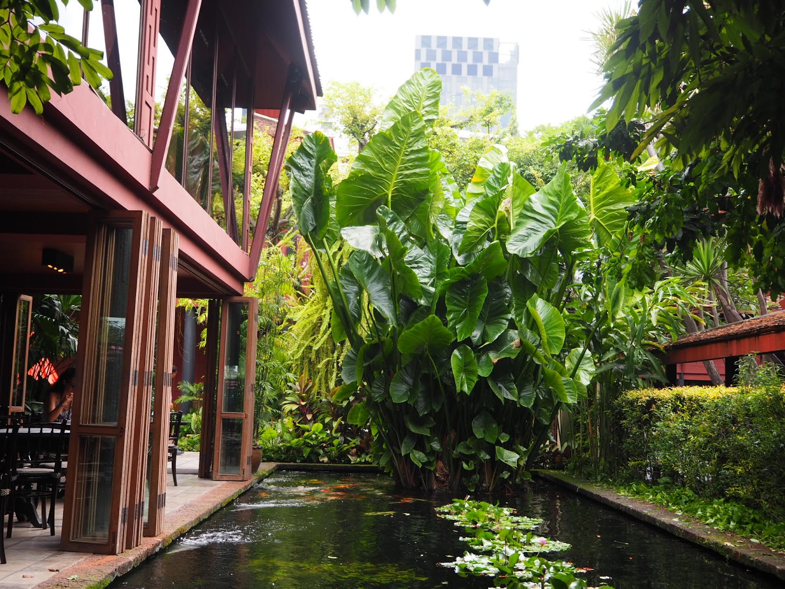 A lily pond beside a teak house with tropical plants in the garden