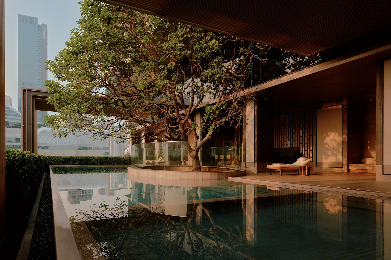 A pool terrace with a large tree at Aman Nai Lert Bangkok, with towers beyond